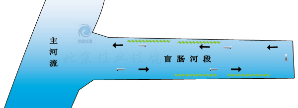 HDP河湖水域直接凈化技術(shù)（針對非流動河流）